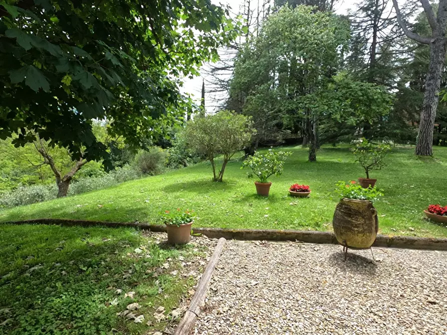 casa indipendente in vendita a Fauglia