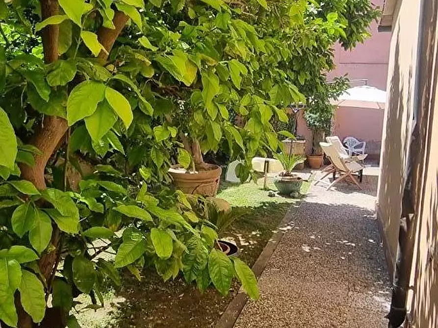 Immagine 30 di Casa indipendente in vendita  a Pisa
