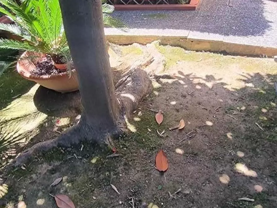 Immagine 26 di Casa indipendente in vendita  a Pisa