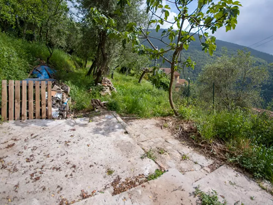Immagine 28 di Terratetto in vendita  a Massa