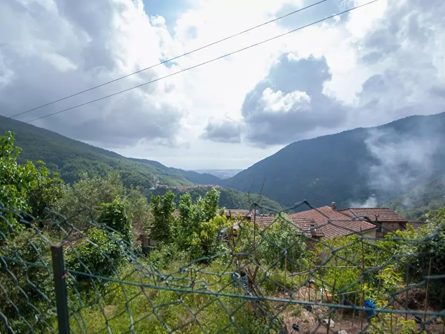 Immagine 30 di Terratetto in vendita  a Massa
