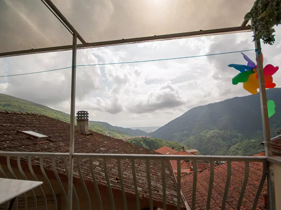 Immagine 20 di Terratetto in vendita  a Massa