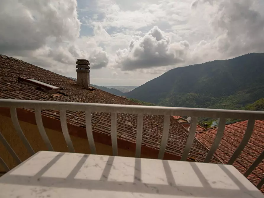 Immagine 23 di Terratetto in vendita  a Massa