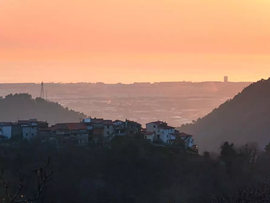 Immagine 32 di Terratetto in vendita  a Massa