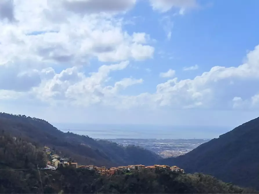 Immagine 36 di Terratetto in vendita  a Massa