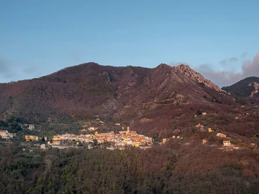 Immagine 34 di Terratetto in vendita  a Massa