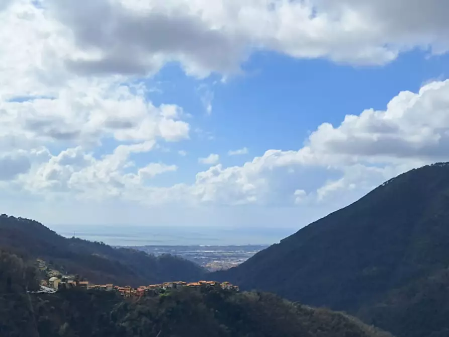 Immagine 35 di Terratetto in vendita  a Massa