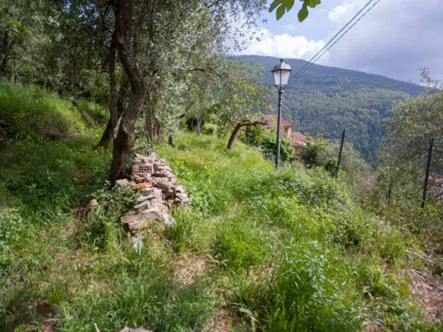 Immagine 29 di Terratetto in vendita  a Massa