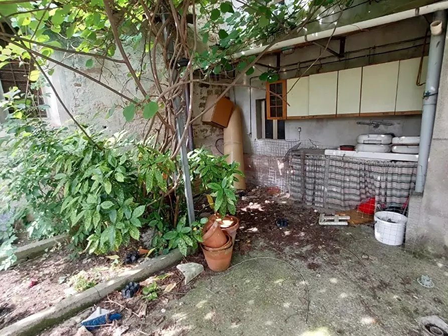 Immagine 20 di Terratetto in vendita  a Buti