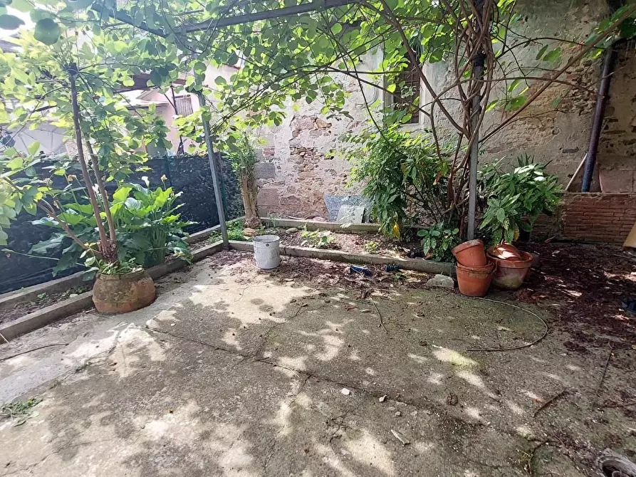 Immagine 21 di Terratetto in vendita  a Buti