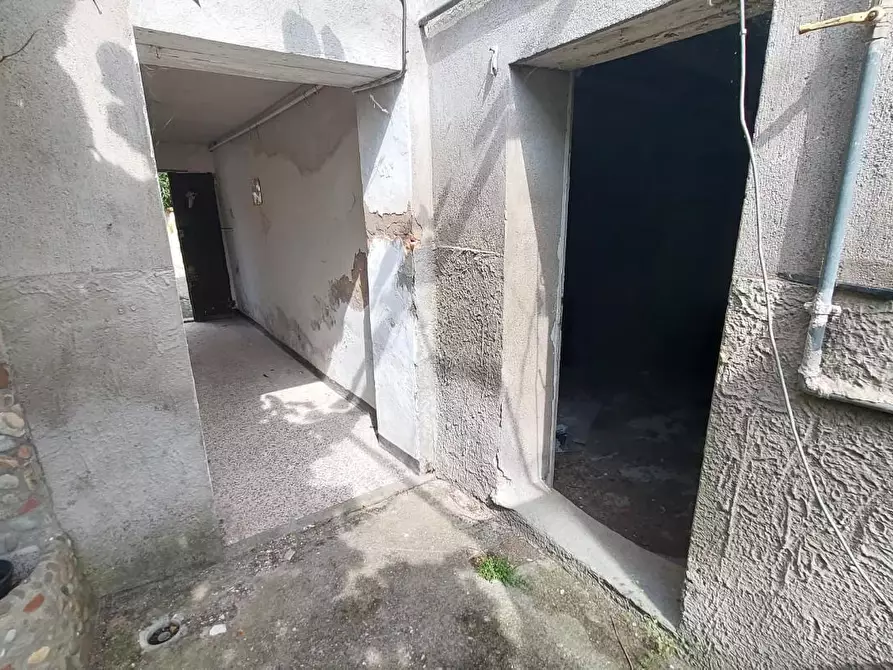 Immagine 19 di Terratetto in vendita  a Buti