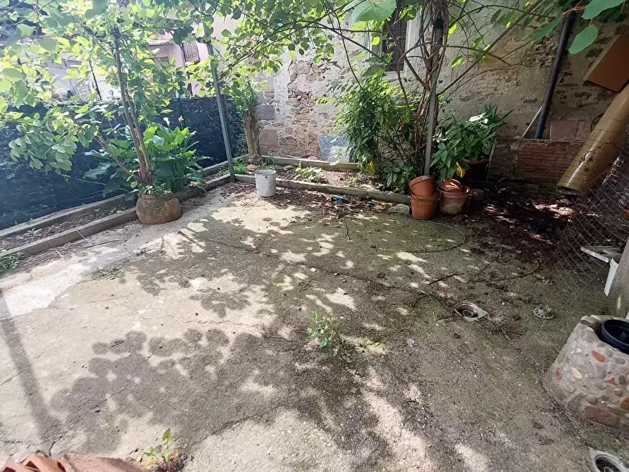 Immagine 22 di Terratetto in vendita  a Buti