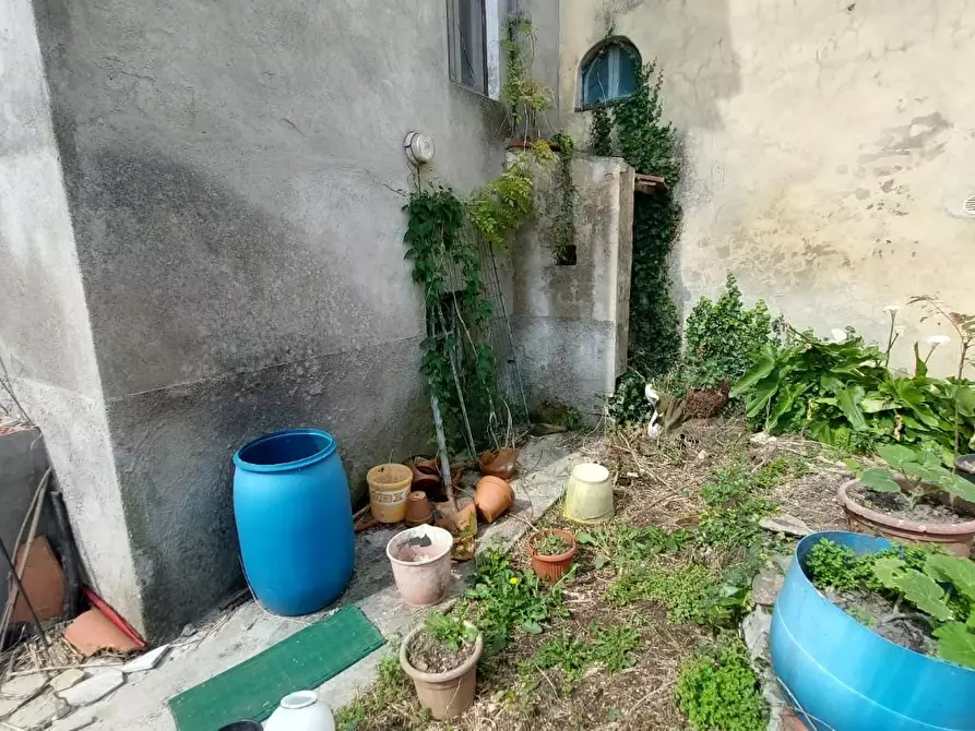 Immagine 24 di Terratetto in vendita  a Buti