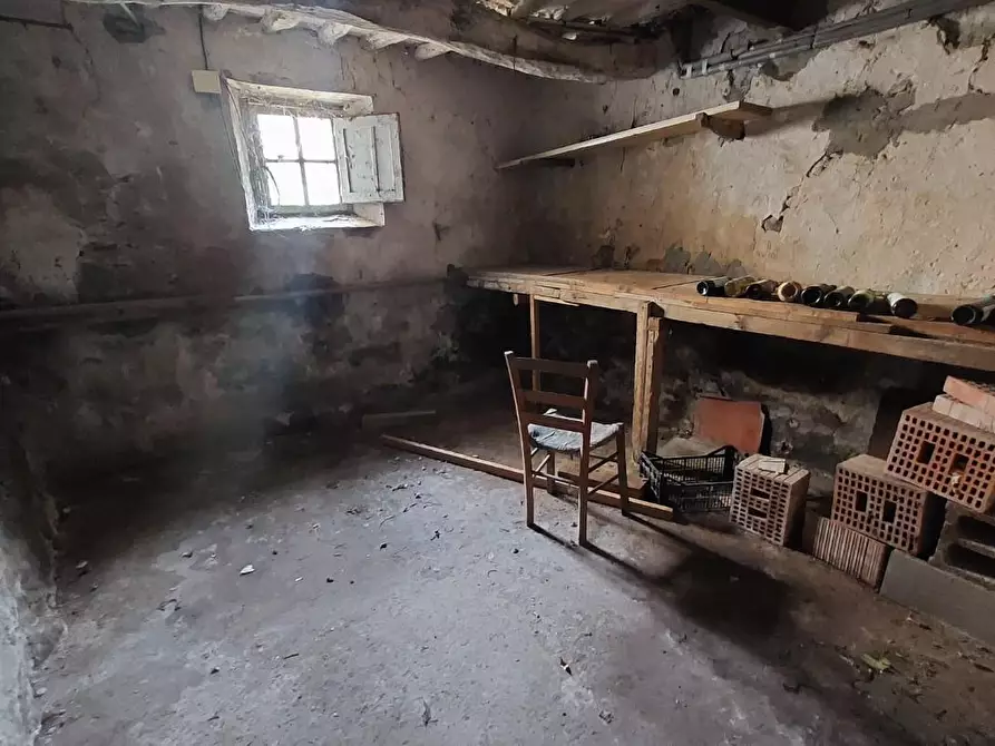 Immagine 28 di Terratetto in vendita  a Buti