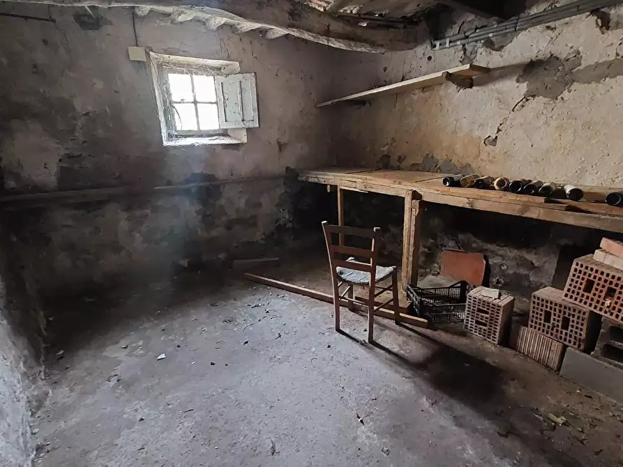 Immagine 27 di Terratetto in vendita  a Buti