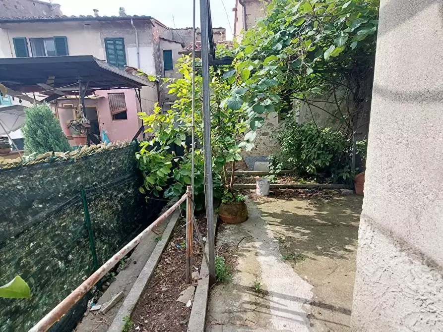 Immagine 23 di Terratetto in vendita  a Buti