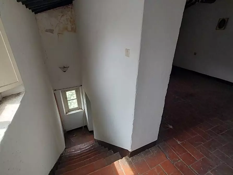 Immagine 11 di Terratetto in vendita  a Buti