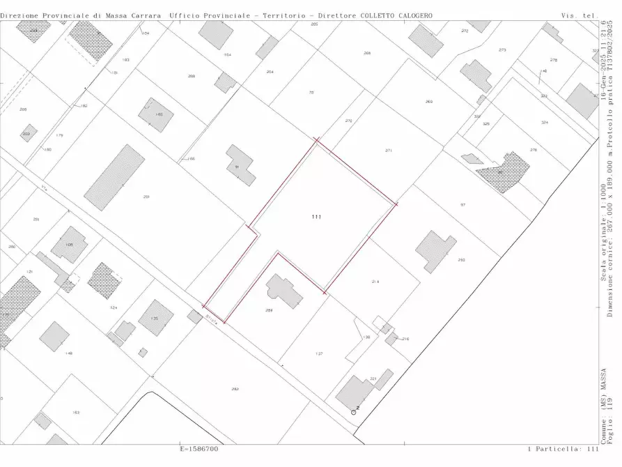 Immagine 3 di Terreno agricolo in vendita  a Massa