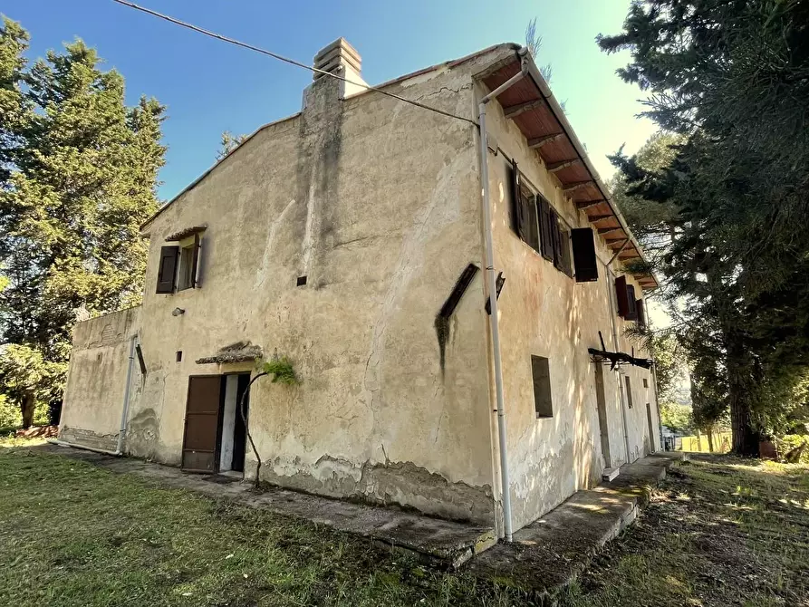 Immagine 10 di Azienda agricola in vendita  a Castelfiorentino