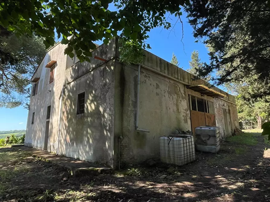 Immagine 12 di Azienda agricola in vendita  a Castelfiorentino