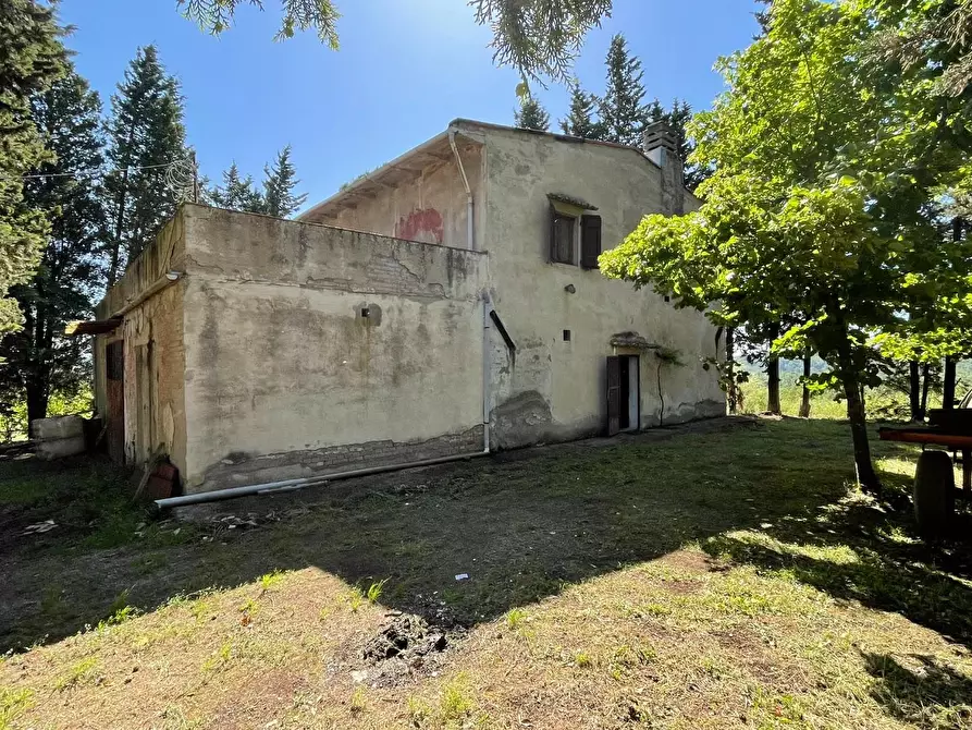 Immagine 11 di Azienda agricola in vendita  a Castelfiorentino