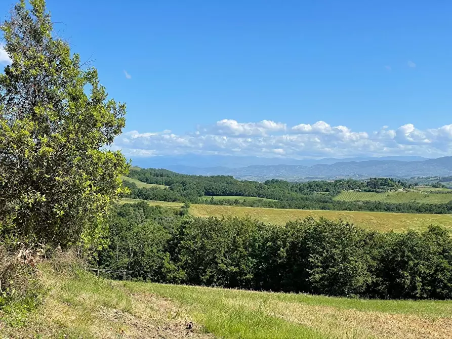 Immagine 34 di Azienda agricola in vendita  a Castelfiorentino