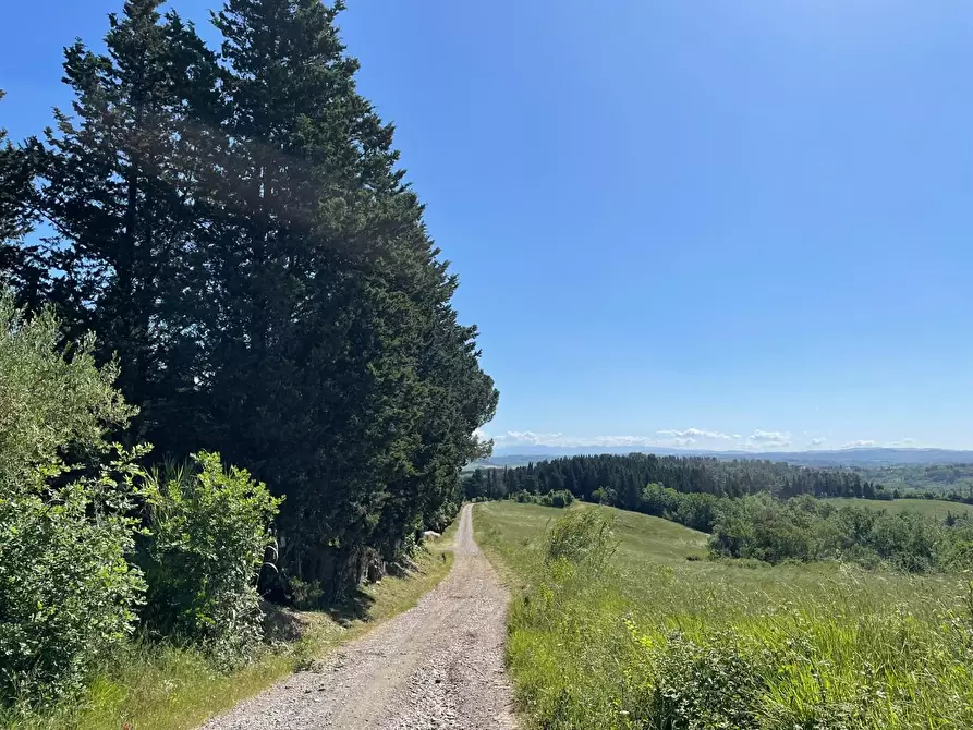 Immagine 3 di Azienda agricola in vendita  a Castelfiorentino