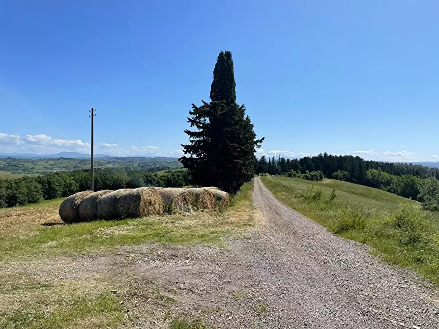 Immagine 31 di Azienda agricola in vendita  a Castelfiorentino