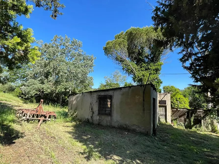 Immagine 16 di Azienda agricola in vendita  a Castelfiorentino