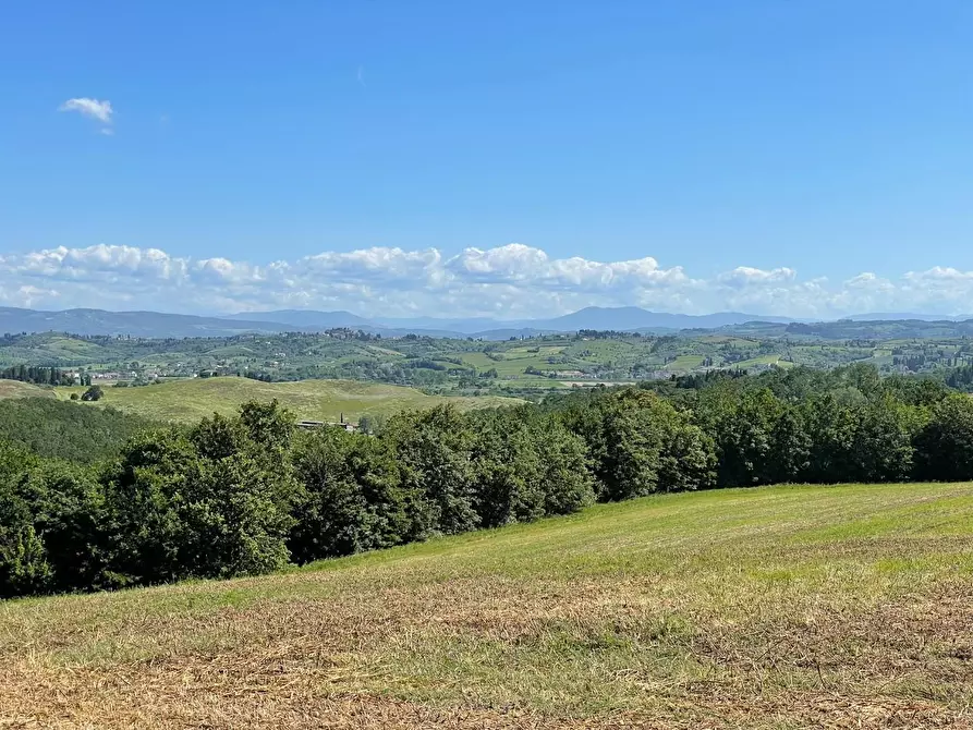 Immagine 32 di Azienda agricola in vendita  a Castelfiorentino