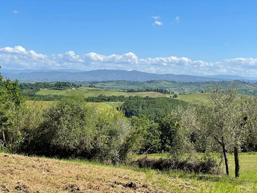 Immagine 36 di Azienda agricola in vendita  a Castelfiorentino