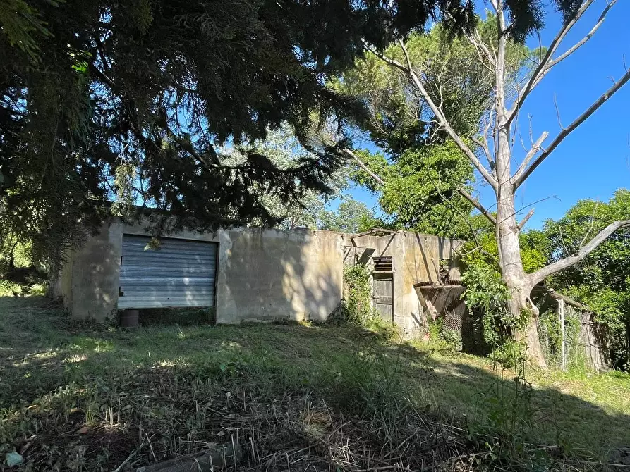 Immagine 14 di Azienda agricola in vendita  a Castelfiorentino