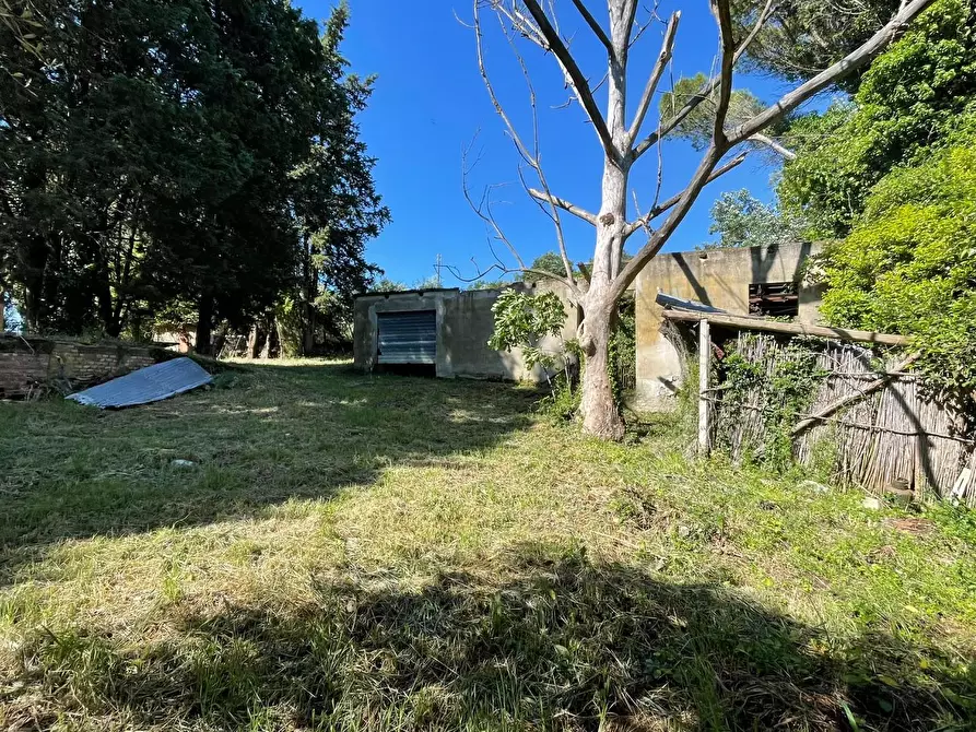 Immagine 17 di Azienda agricola in vendita  a Castelfiorentino