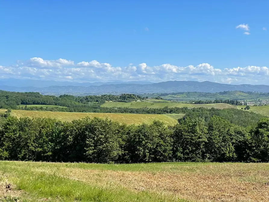 Immagine 4 di Azienda agricola in vendita  a Castelfiorentino