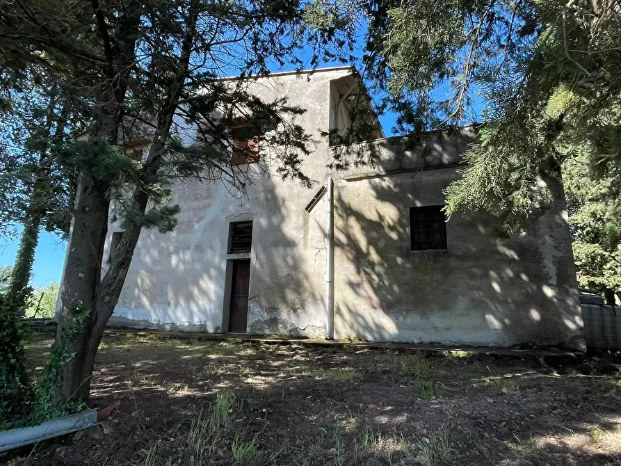 Immagine 13 di Azienda agricola in vendita  a Castelfiorentino
