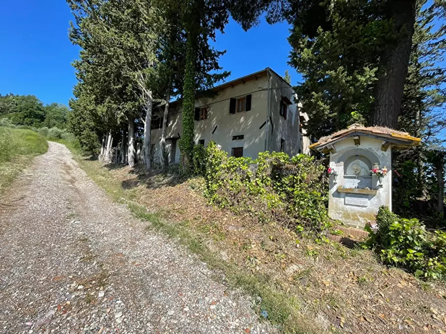 Immagine 2 di Azienda agricola in vendita  a Castelfiorentino