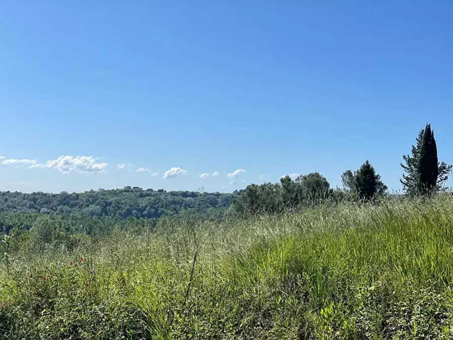 Immagine 25 di Azienda agricola in vendita  a Castelfiorentino