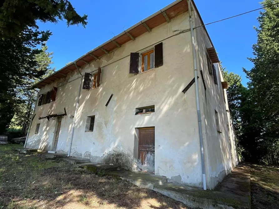 Immagine 9 di Azienda agricola in vendita  a Castelfiorentino