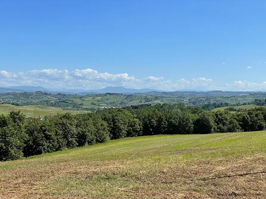 Immagine 33 di Azienda agricola in vendita  a Castelfiorentino