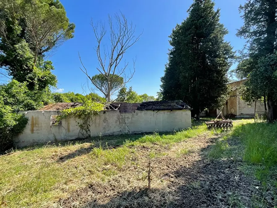Immagine 18 di Azienda agricola in vendita  a Castelfiorentino