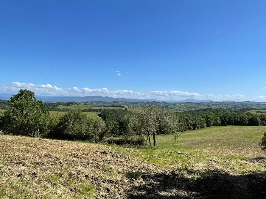 Immagine 35 di Azienda agricola in vendita  a Castelfiorentino
