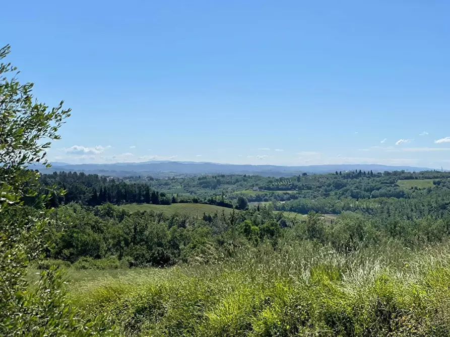 Immagine 24 di Azienda agricola in vendita  a Castelfiorentino