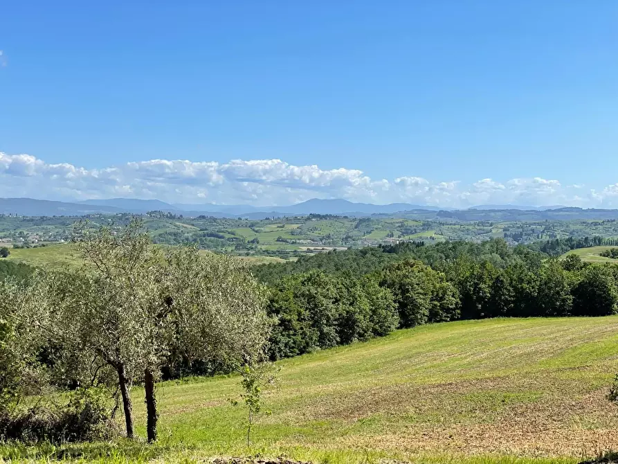 Immagine 37 di Azienda agricola in vendita  a Castelfiorentino