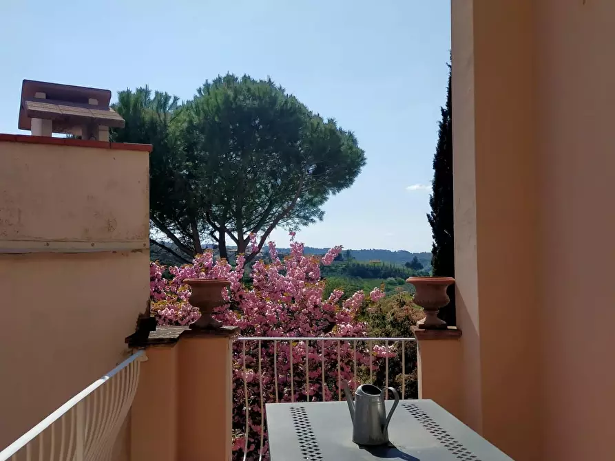 Immagine 13 di Terratetto in vendita  a Terricciola