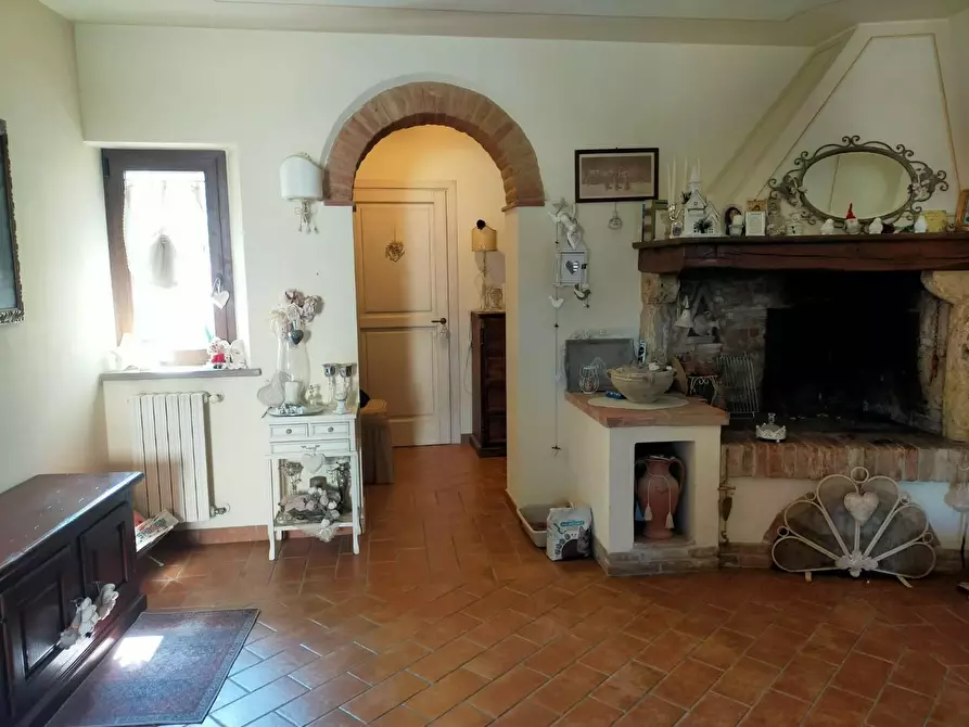 Immagine 19 di Terratetto in vendita  a Terricciola