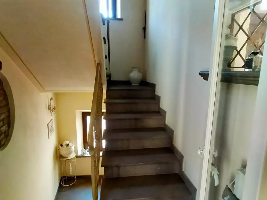 Immagine 32 di Terratetto in vendita  a Terricciola