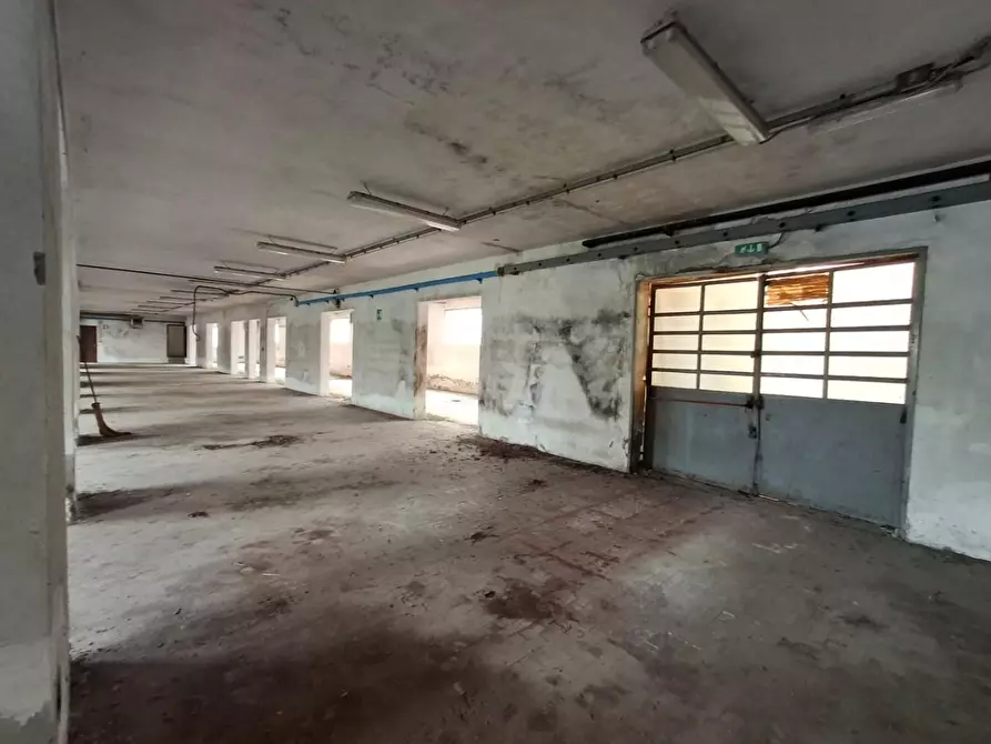 Immagine 3 di Attività artigianale in vendita  a Capannori