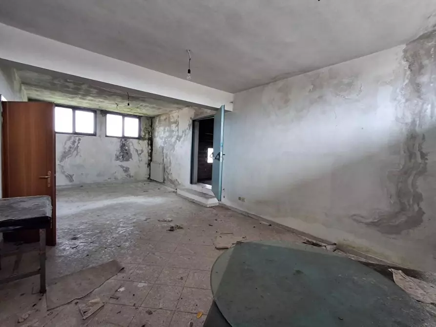 Immagine 25 di Attività artigianale in vendita  a Capannori