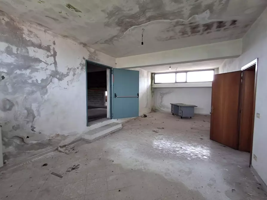 Immagine 23 di Attività artigianale in vendita  a Capannori