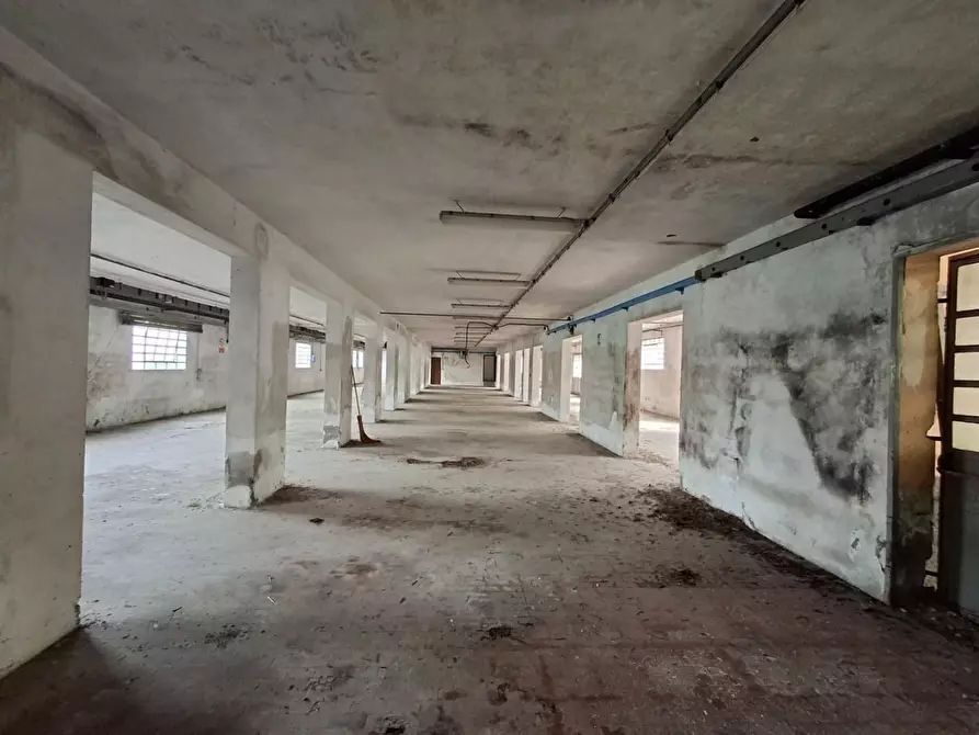 Immagine 4 di Attività artigianale in vendita  a Capannori